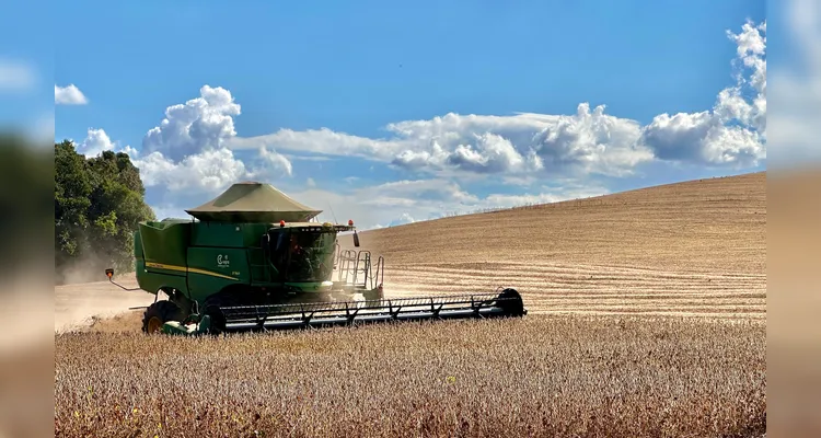 Colheita de soja alcança o pico na região