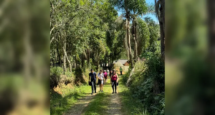 Caminhada na Natureza reúne 500 participantes em Itaiacoca e reforça turismo rural