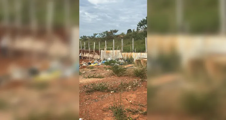 O acúmulo de lixo e abandono de animais se tornou um problema de segurança e saúde pública no bairro Belo Monte, em Ponta Grossa