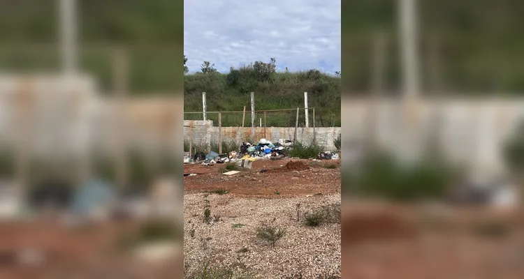 O acúmulo de lixo e abandono de animais se tornou um problema de segurança e saúde pública no bairro Belo Monte, em Ponta Grossa