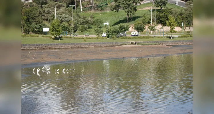 Confira como está o Lago de Olarias após início de obras para limpeza da água