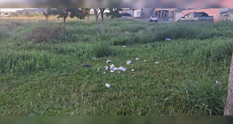 Lixo na Praça Lago Núcleo Pitangui