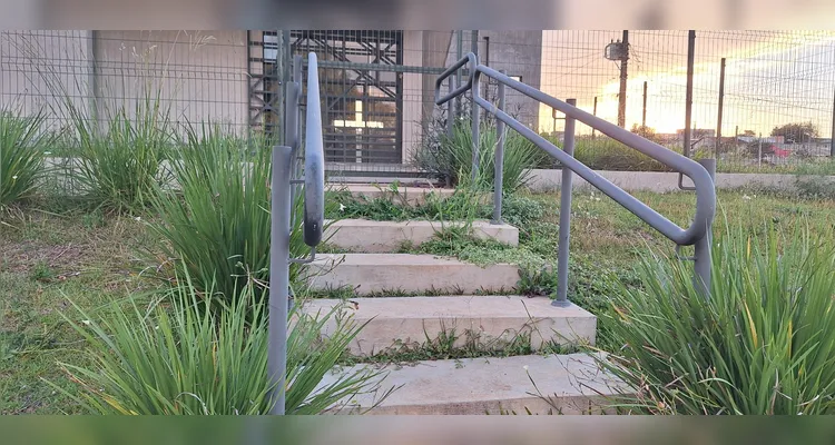 Capela mortuária do Núcleo Pitangui tomada pela grama