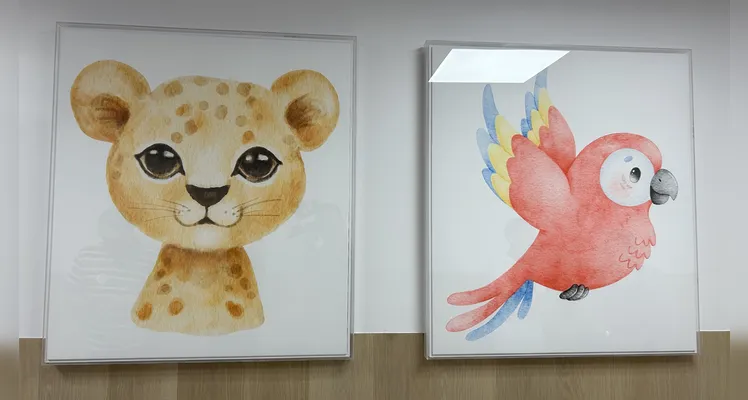 Com articulação de Aliel, Santa Casa inaugura nova maternidade