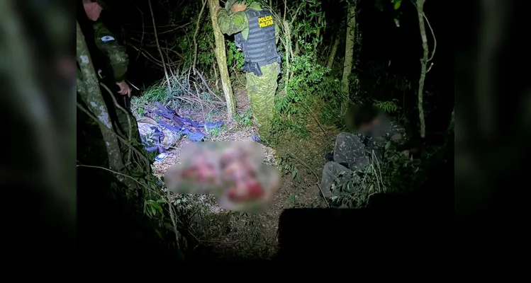 Os envolvidos foram presos pelo crime de caça ilegal; na imagem, as carcaças dos veados-mateiro e as armas utilizadas