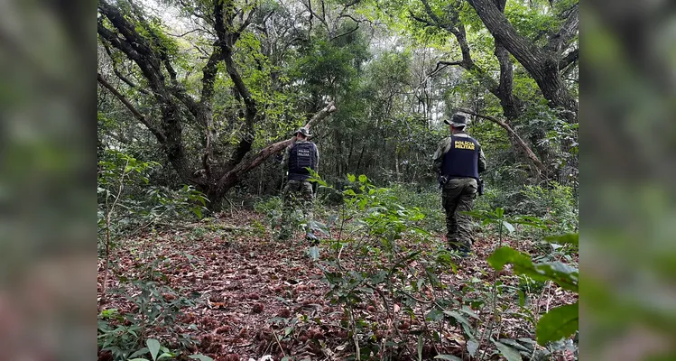 Os policiais militares realizaram patrulhamento no local.