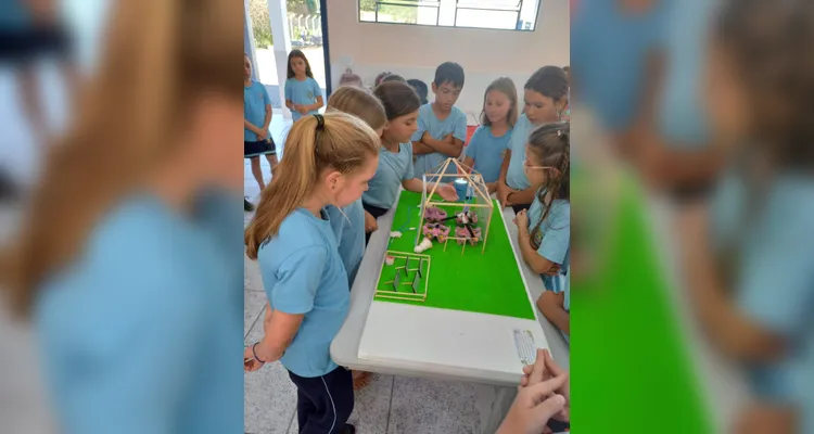 Veja a série de registros do amplo trabalho realizado pelos estudantes.