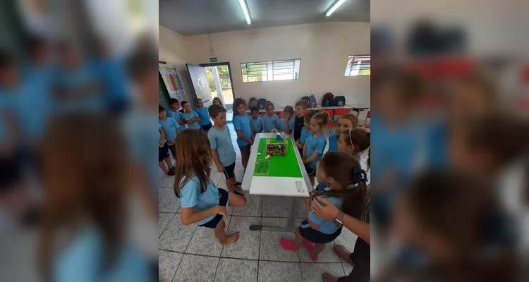 Veja a série de registros do amplo trabalho realizado pelos estudantes.