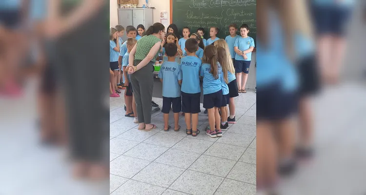 Veja a série de registros do amplo trabalho realizado pelos estudantes.