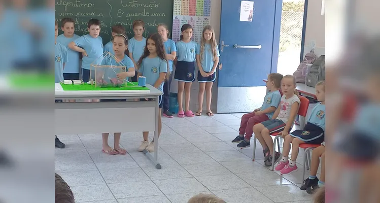 Veja a série de registros do amplo trabalho realizado pelos estudantes.