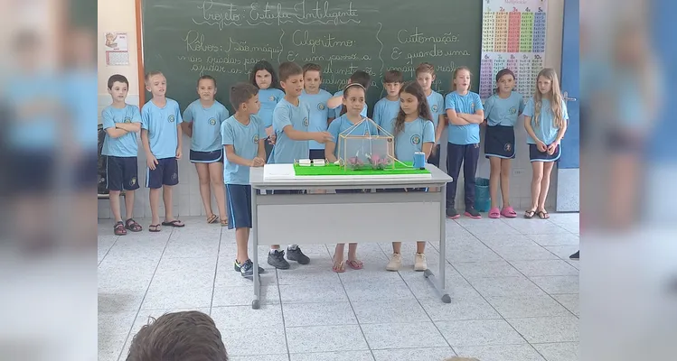 Veja a série de registros do amplo trabalho realizado pelos estudantes.