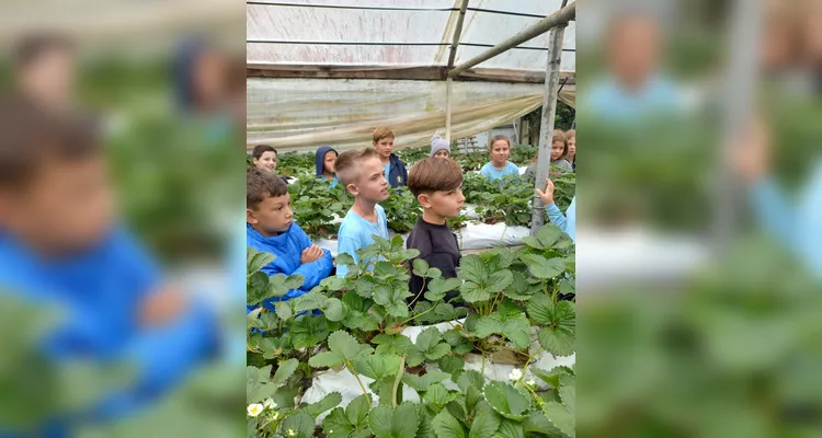 Veja a série de registros do amplo trabalho realizado pelos estudantes.