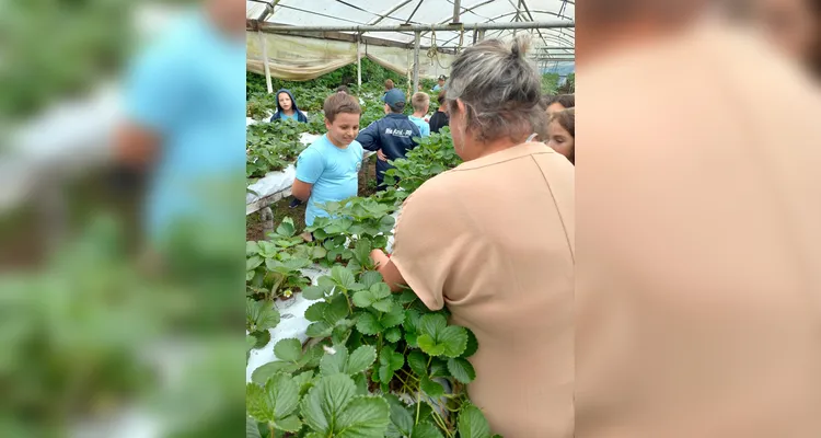 Veja a série de registros do amplo trabalho realizado pelos estudantes.