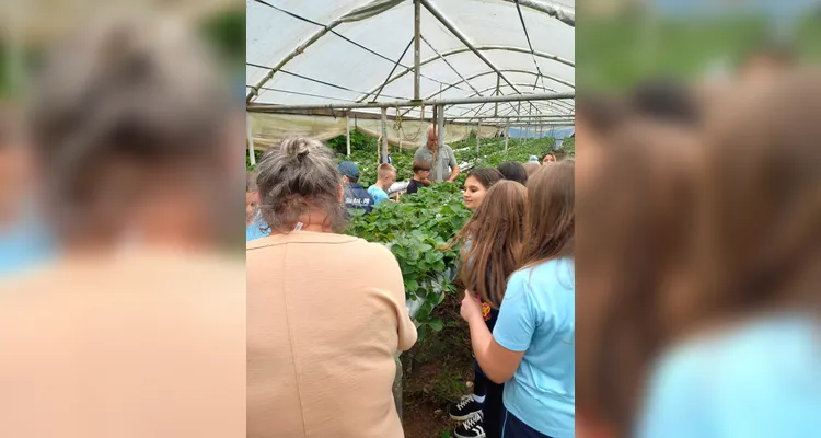 Veja a série de registros do amplo trabalho realizado pelos estudantes.