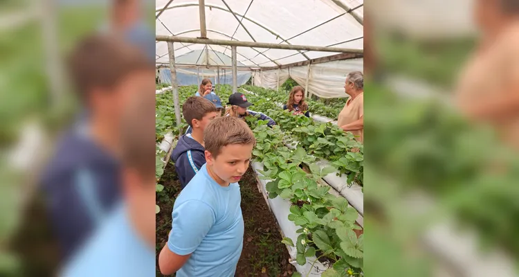 Veja a série de registros do amplo trabalho realizado pelos estudantes.