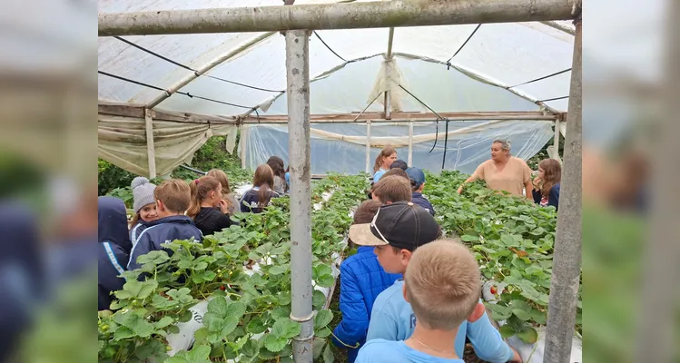Veja a série de registros do amplo trabalho realizado pelos estudantes.