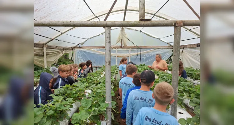 Veja a série de registros do amplo trabalho realizado pelos estudantes.