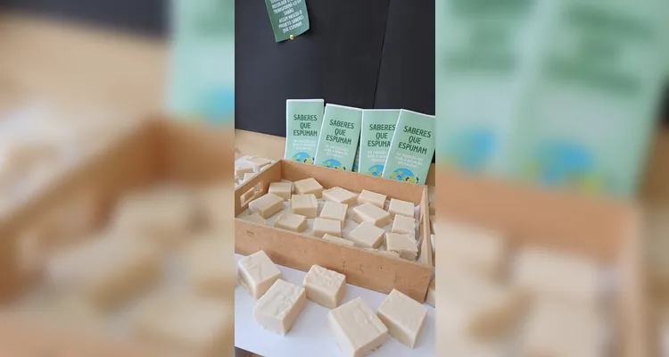 Confira os registros do amplo trabalho realizado pelos estudantes.