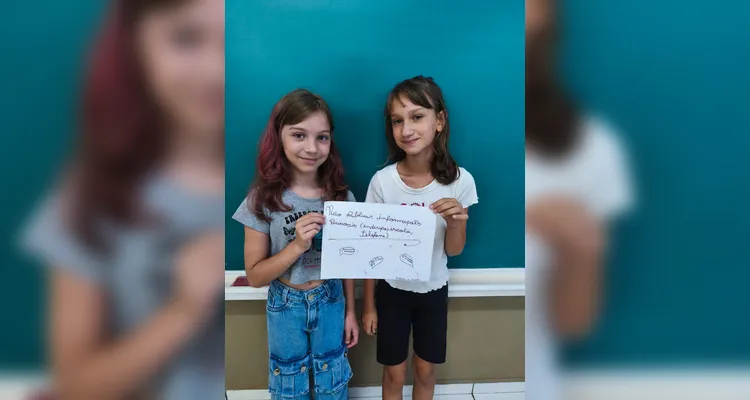 Veja os registros do amplo trabalho em sala de aula.