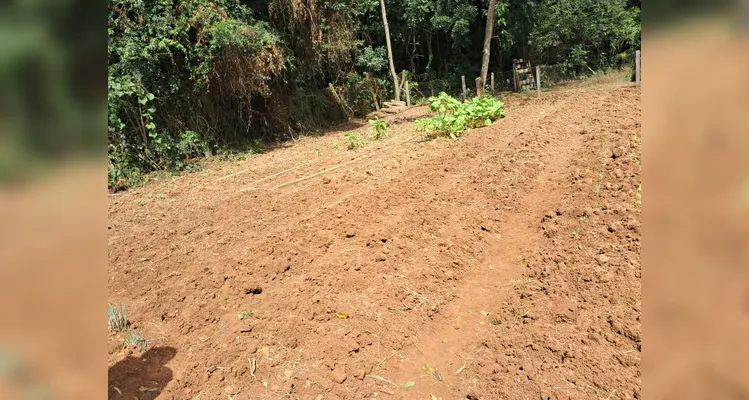 Confira a série de registros do amplo trabalho realizado pelos educandos.