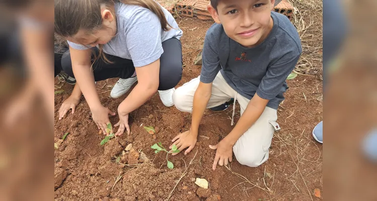 Confira a série de registros do amplo trabalho realizado pelos educandos.