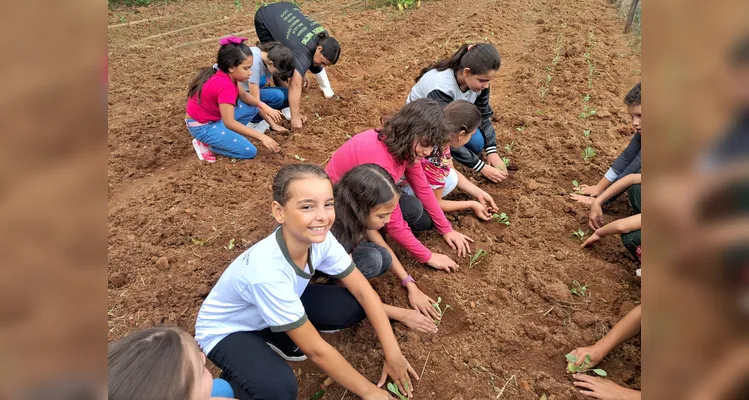 Confira a série de registros do amplo trabalho realizado pelos educandos.