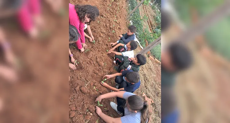 Confira a série de registros do amplo trabalho realizado pelos educandos.