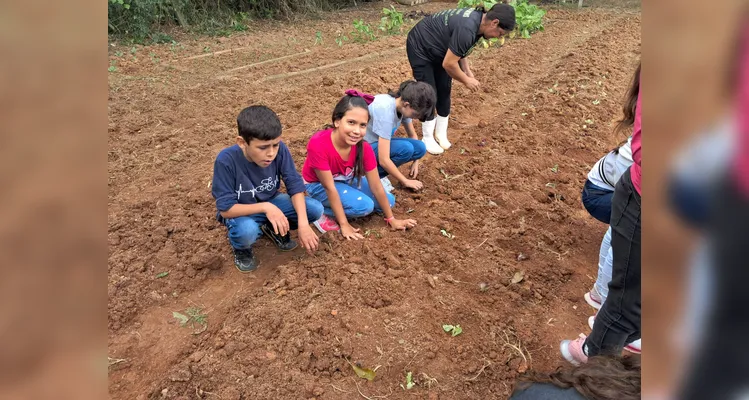 Confira a série de registros do amplo trabalho realizado pelos educandos.