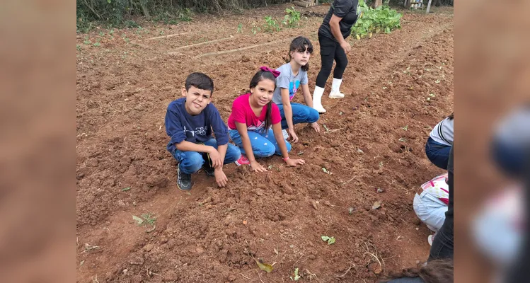 Confira a série de registros do amplo trabalho realizado pelos educandos.