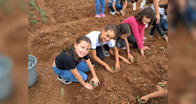Confira a série de registros do amplo trabalho realizado pelos educandos.