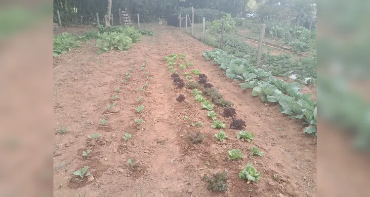 Confira a série de registros do amplo trabalho realizado pelos educandos.