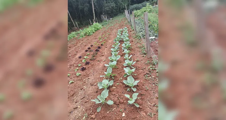 Confira a série de registros do amplo trabalho realizado pelos educandos.