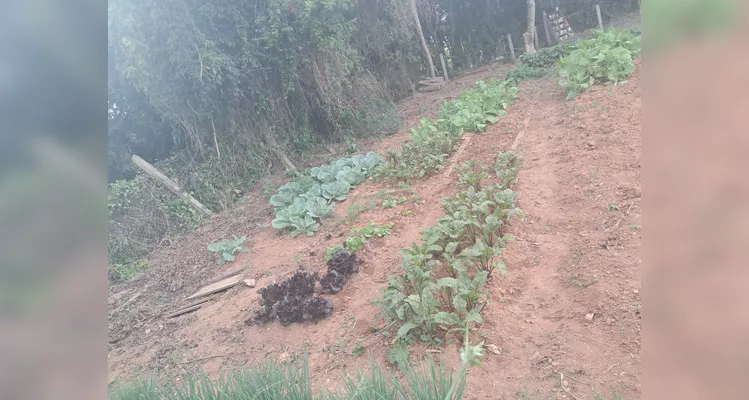 Confira a série de registros do amplo trabalho realizado pelos educandos.