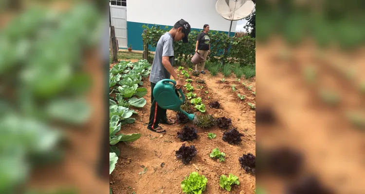 Confira a série de registros do amplo trabalho realizado pelos educandos.