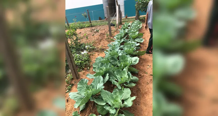 Confira a série de registros do amplo trabalho realizado pelos educandos.