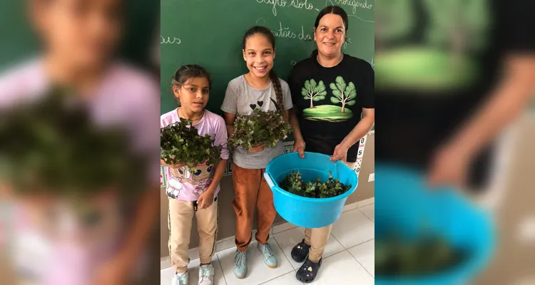 Confira a série de registros do amplo trabalho realizado pelos educandos.