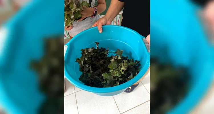 Confira a série de registros do amplo trabalho realizado pelos educandos.