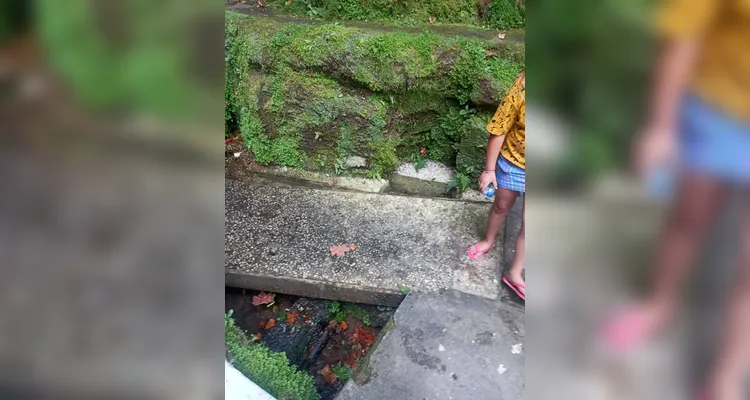 Veja a série de registros do amplo trabalho da classe em diferentes momentos.