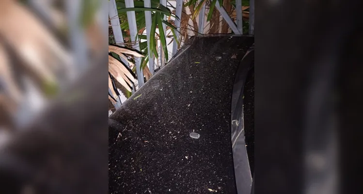 Motorista sem CNH perde controle e colide contra portão de residência em PG