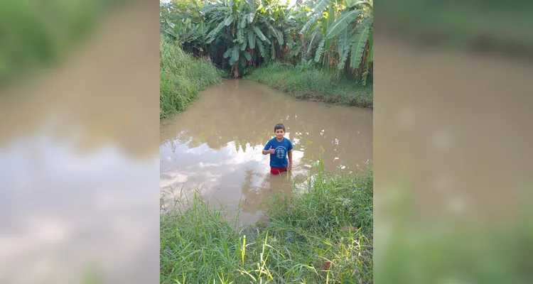 Veja os registros feitos em casa e o trabalho realizado no ambiente escolar.