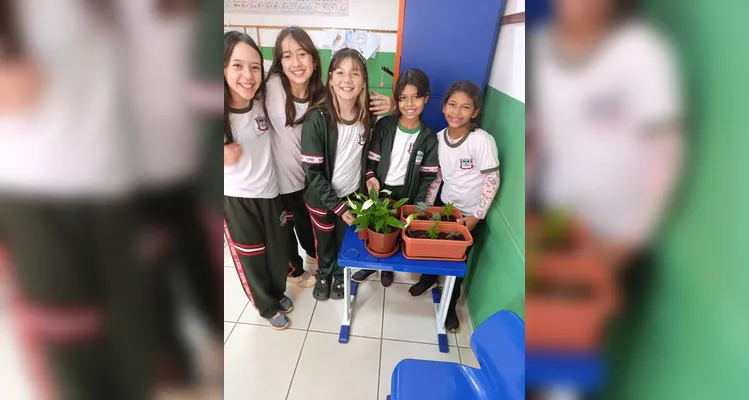 Confira a série de registros da ampla proposta ambiental dos estudantes.