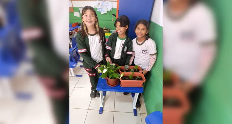 Confira a série de registros da ampla proposta ambiental dos estudantes.