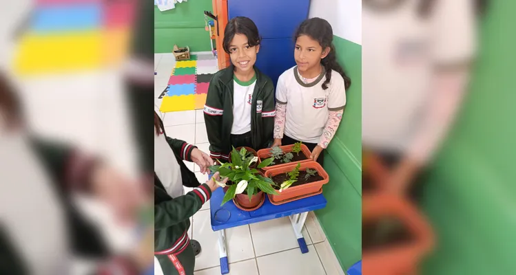 Confira a série de registros da ampla proposta ambiental dos estudantes.