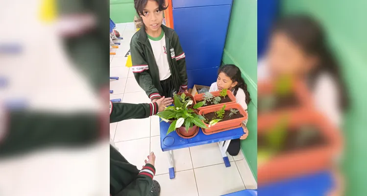 Confira a série de registros da ampla proposta ambiental dos estudantes.