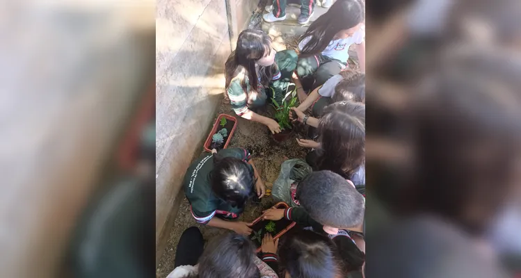 Confira a série de registros da ampla proposta ambiental dos estudantes.