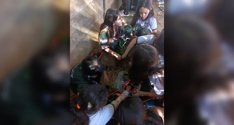 Confira a série de registros da ampla proposta ambiental dos estudantes.