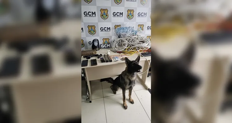 'Pandora' localiza 1 kg de maconha em área de mata e três são presos em PG