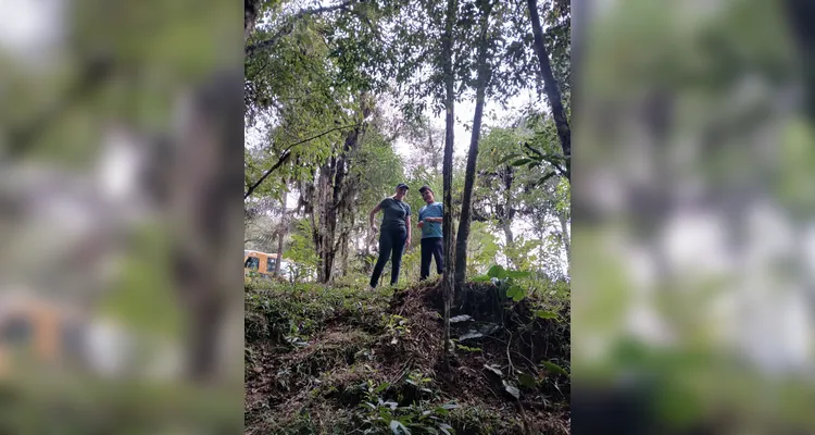 Confira a série de registros da saída de campo.