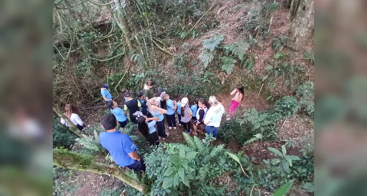 Confira a série de registros da saída de campo.