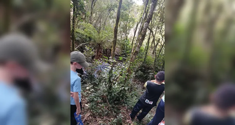 Confira a série de registros da saída de campo.